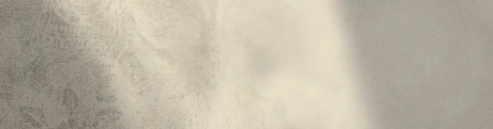 fondo